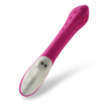 Sex Toy Silicone Vibrating Dildo for Woman Injo-Zd013